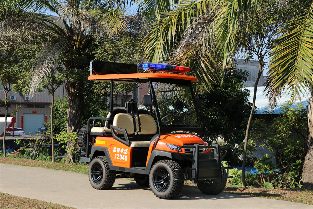 護(hù)林防火巡查車，電動(dòng)巡邏車