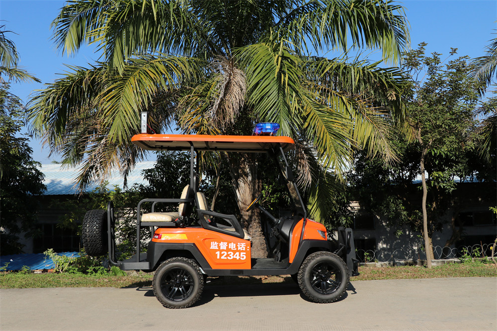 護(hù)林防火巡查車，電動(dòng)巡邏車